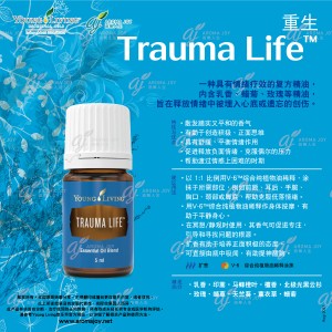 Trauma Life 重生